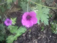 CAM01088.webp