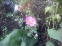 CAM01089.webp
