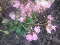 CAM01093.webp