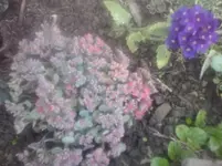 CAM01094.webp