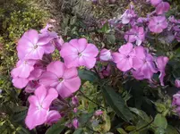 CAM01113.webp