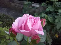 CAM01116.webp