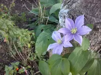 CAM01119.webp