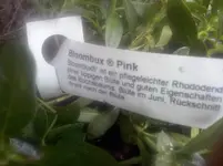 CAM01090.jpg