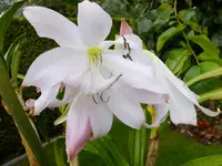 DSCF9462.webp