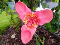 DSCF9463.webp