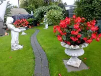 DSCF9466.webp