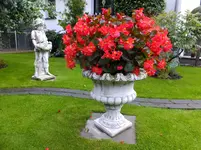 DSCF9470.webp