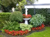 DSCF9472.webp