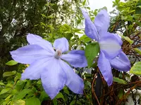 DSCF9474.webp