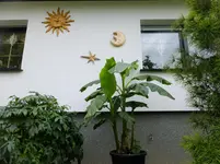 DSCF9476.webp