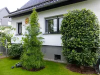 DSCF9477.webp