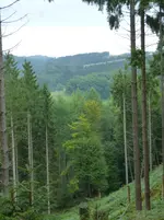 P1080094Blick ins Tal (links).webp