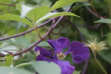 _DSC9344.webp