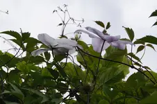 _DSC9346.webp