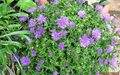 IMG_5777.webp