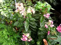 IMG_5782.webp