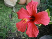 P9220450.webp