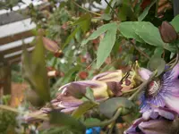 P9220462.webp