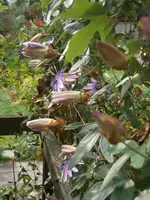 P9220463.webp