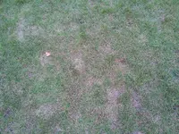 20150922_184957_resized.webp