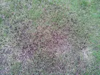 20150922_185014_resized.webp