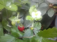 CAM01099.webp