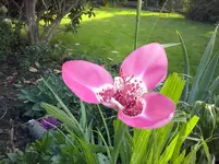 CAM01127.webp