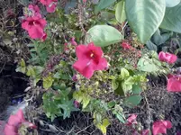 CAM01125.webp