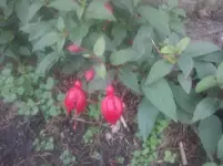 CAM01091.webp