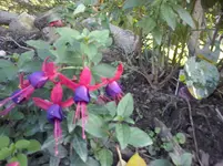CAM01121.webp