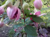CAM01122.webp