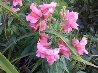 CAM01128.webp