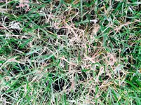 FullSizeRender1.webp