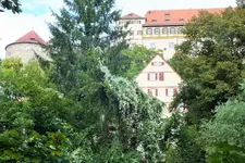 DSCF3374 (2).webp