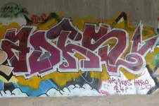 DSCF3365.webp