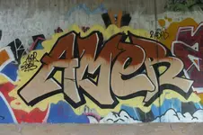 DSCF3366.webp