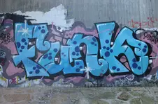 DSCF3367.webp