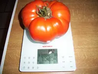 100_1842.jpg
