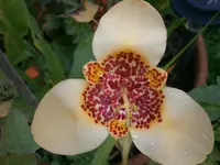 P9230471.webp