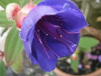 P9230473.webp