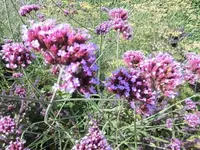 Bilda022.webp