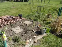 2015-04-23 Sommerflieder gelb.jpg
