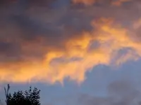 DSCF9243.webp