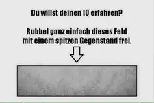 12039258_407094059487964_5576247553186879907_n.webp