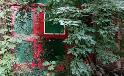 red (56).jpg