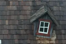DSCF3407.webp