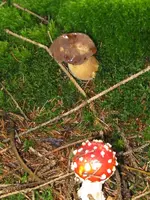 003_600x800.webp