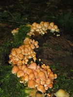 004_600x800.webp