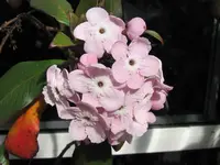IMG_4709v - Copyv.webp